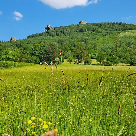 Sauerland Feeling Apartament Olsberg