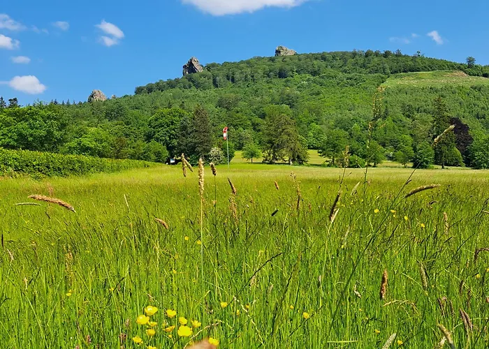 Sauerland Feeling Apartament Olsberg